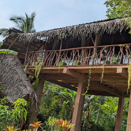 فيلا Sigiriya Rock View Tree House المظهر الخارجي الصورة