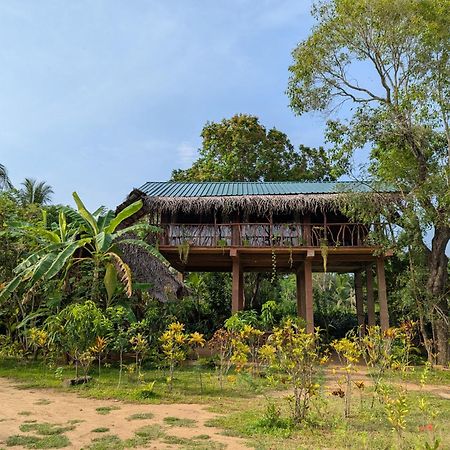 فيلا Sigiriya Rock View Tree House المظهر الخارجي الصورة