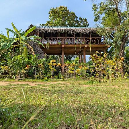 فيلا Sigiriya Rock View Tree House المظهر الخارجي الصورة