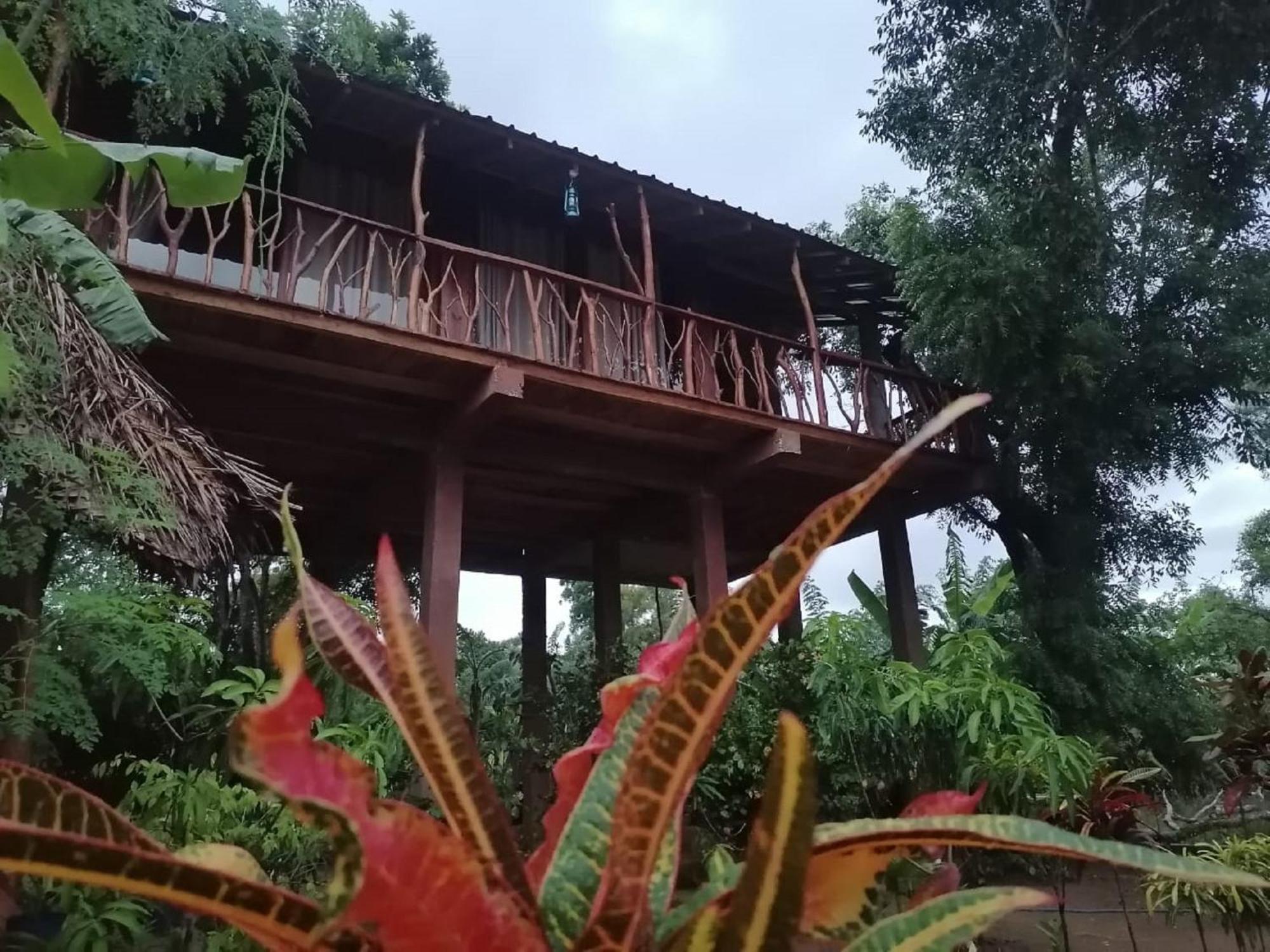 فيلا Sigiriya Rock View Tree House المظهر الخارجي الصورة