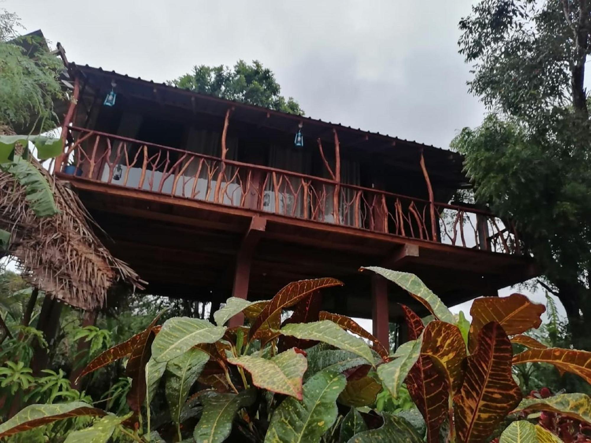 فيلا Sigiriya Rock View Tree House المظهر الخارجي الصورة