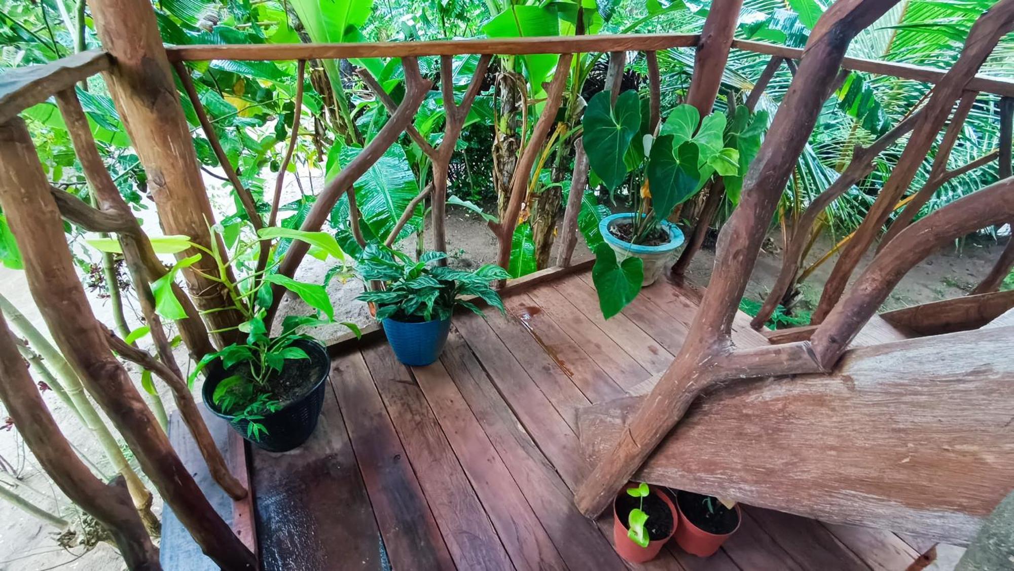 فيلا Sigiriya Rock View Tree House المظهر الخارجي الصورة