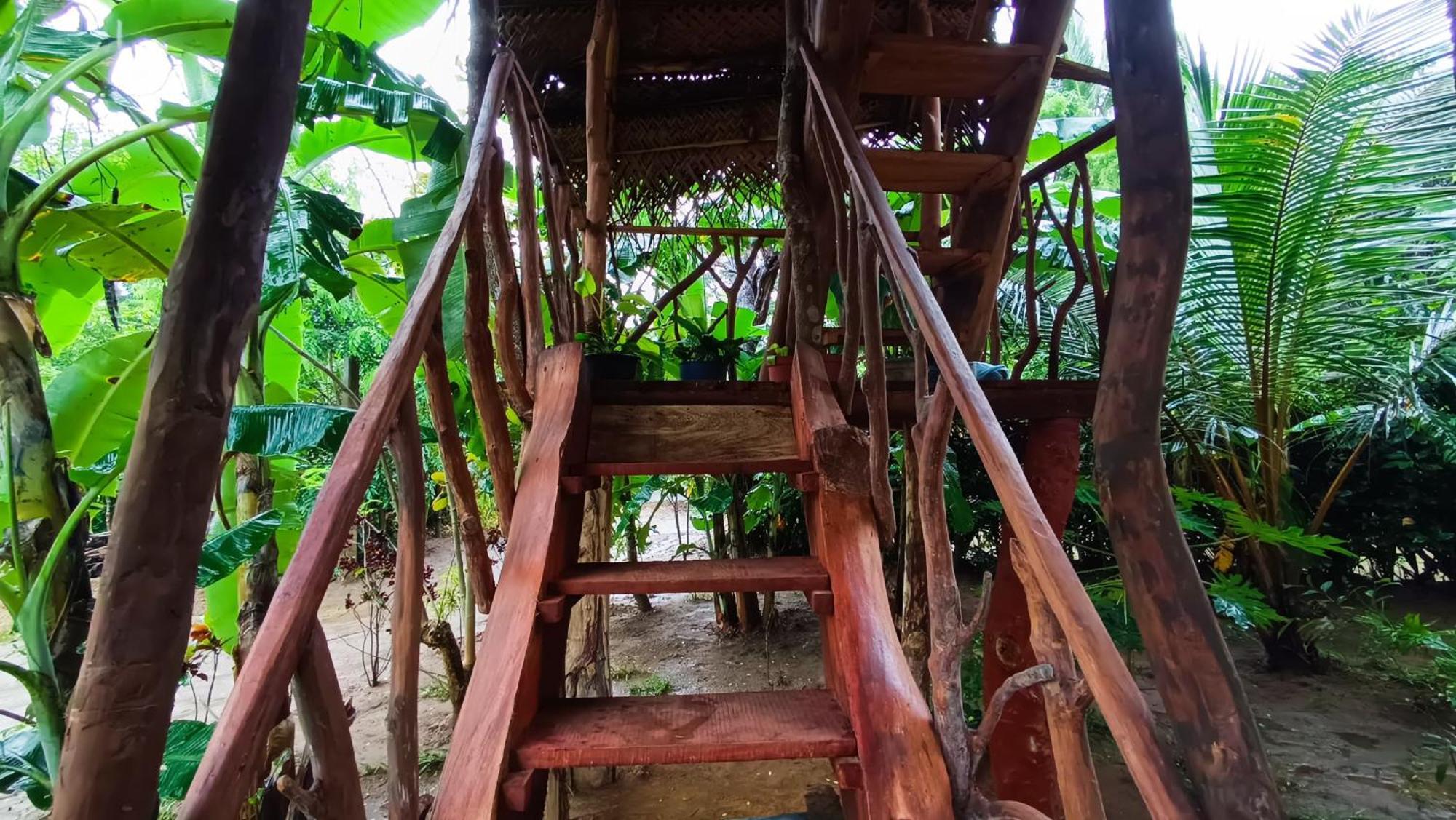 فيلا Sigiriya Rock View Tree House المظهر الخارجي الصورة