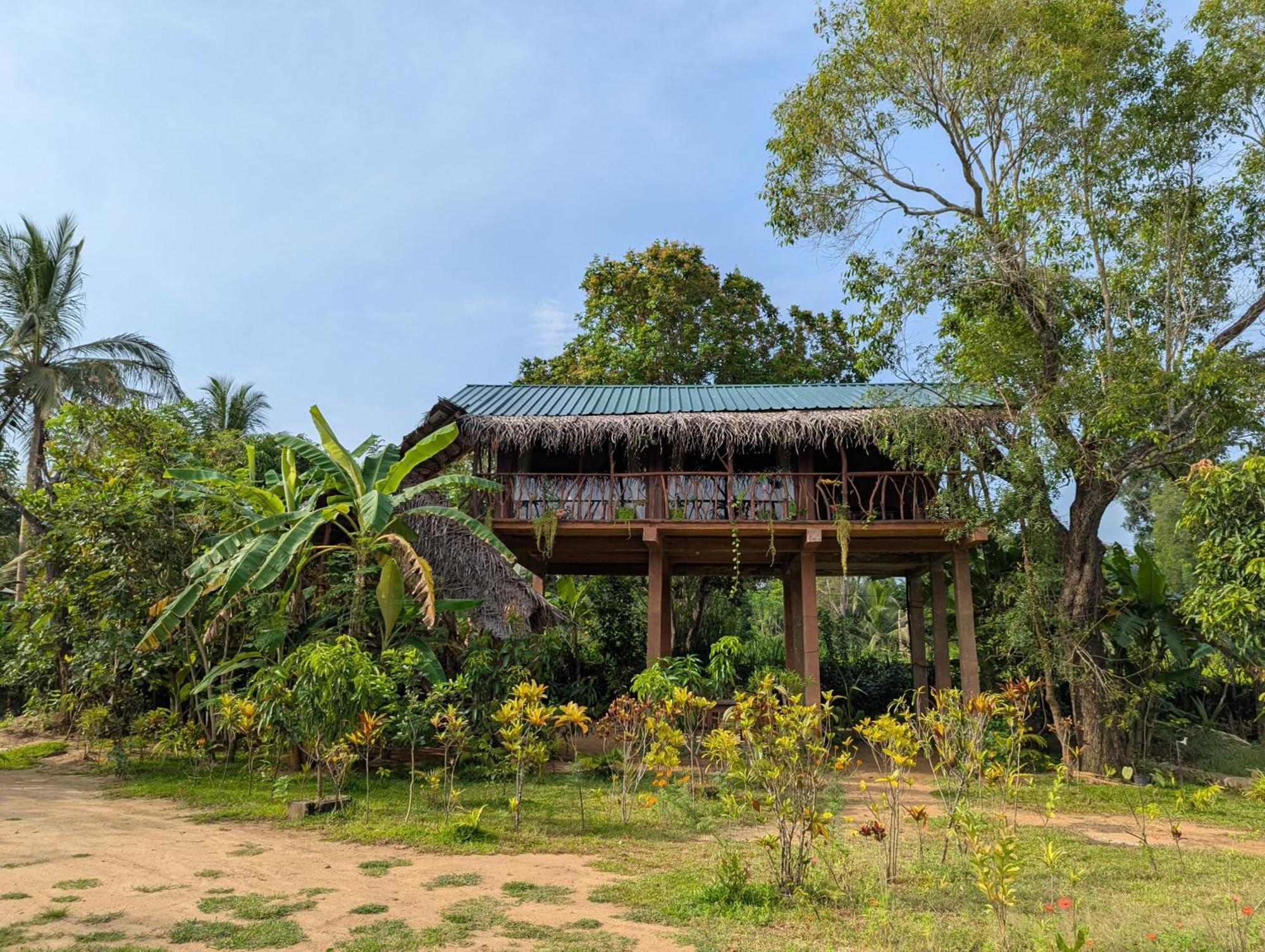 فيلا Sigiriya Rock View Tree House المظهر الخارجي الصورة