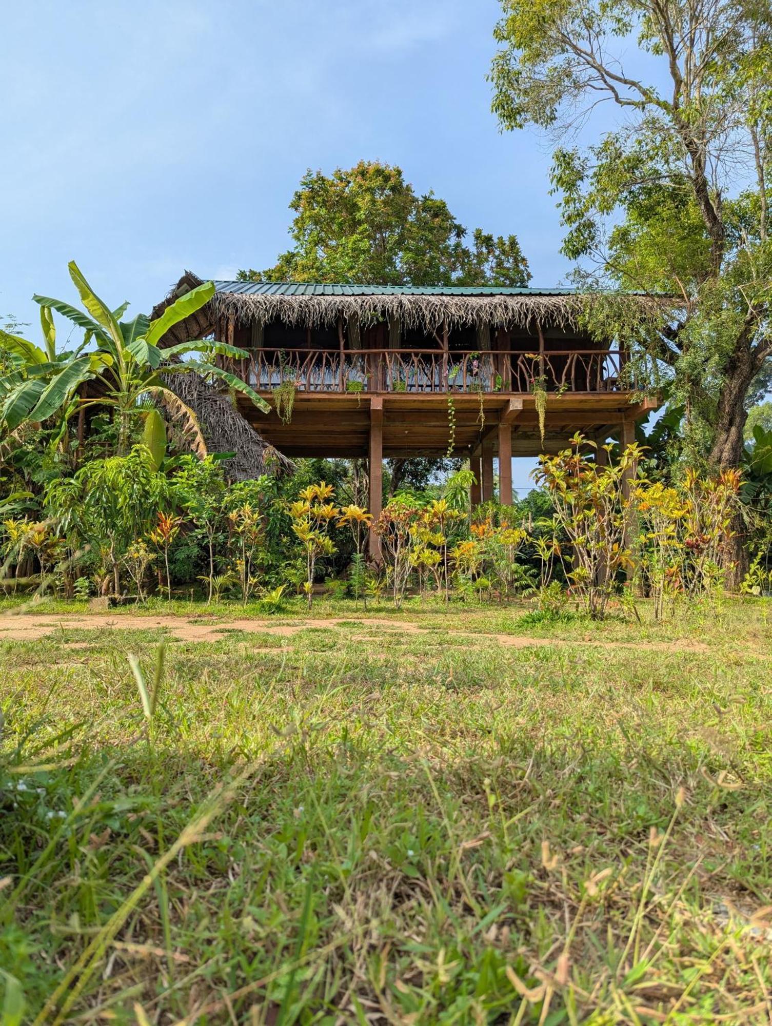 فيلا Sigiriya Rock View Tree House المظهر الخارجي الصورة